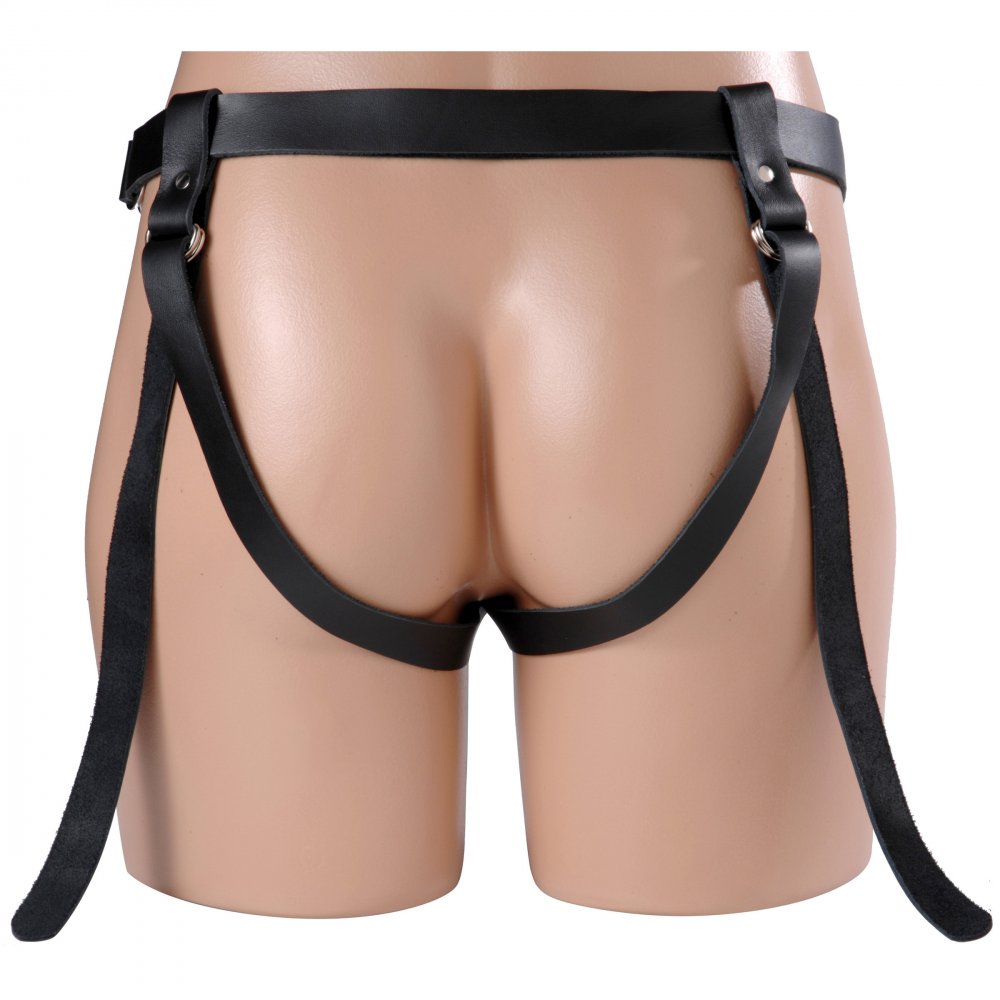 Two-Strap Harness